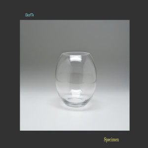 Album Specimen (Explicit) from EkofTk