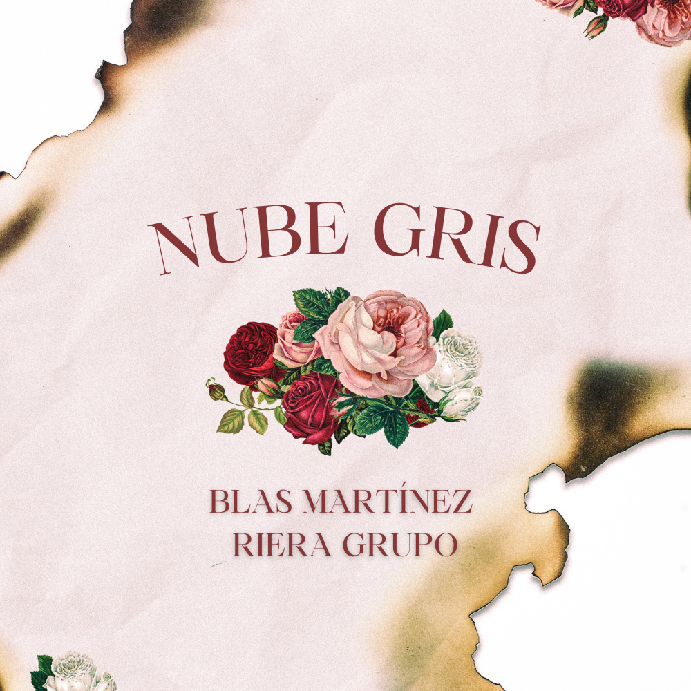 Nube Gris