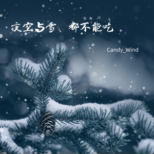 อัลบัม 夜空与雪、都不能吃 ศิลปิน Candy_Wind