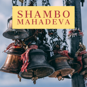 Listen to Shambo Mahadeva (Instrumental Version) song with lyrics from R.K. Sundar