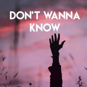 收听Stereo Avenue的Don't Wanna Know歌词歌曲