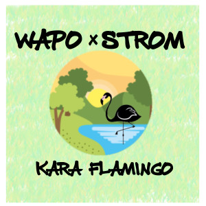 Listen to Kara Flamingo song with lyrics from Wapo