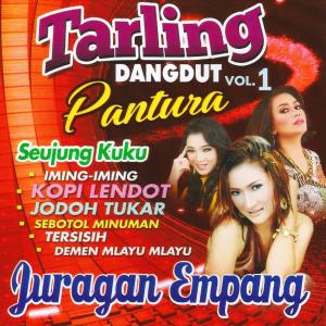 ดาวน์โหลดและฟังเพลง Juragan Empang พร้อมเนื้อเพลงจาก Dewi Kirana