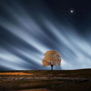 收听Canciones De Cuna Para Dormir Bebes的Calma歌词歌曲
