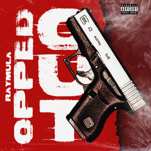 RayMula的专辑Opped Out (Explicit)