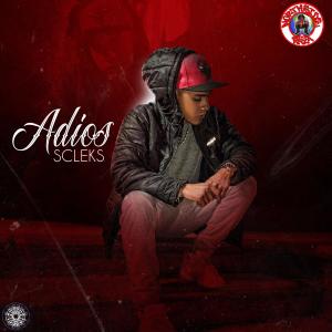 ดาวน์โหลดและฟังเพลง Adios พร้อมเนื้อเพลงจาก Scleks