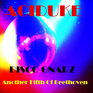 Dengarkan Disco Gnarz lagu dari Aciduke dengan lirik