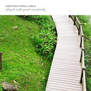 New Age Helps Walking And Simple Exercise dari Various Artists