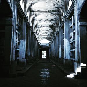 Album Ultima vez from Winkla