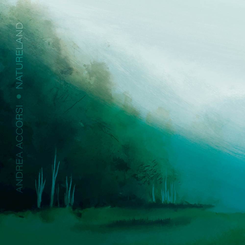 Essence Of The Forest