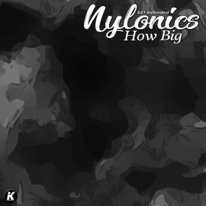 Nylonics的专辑How Big (K21 extended)