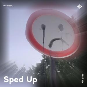 Album revenge - sped up + reverb oleh iykyk