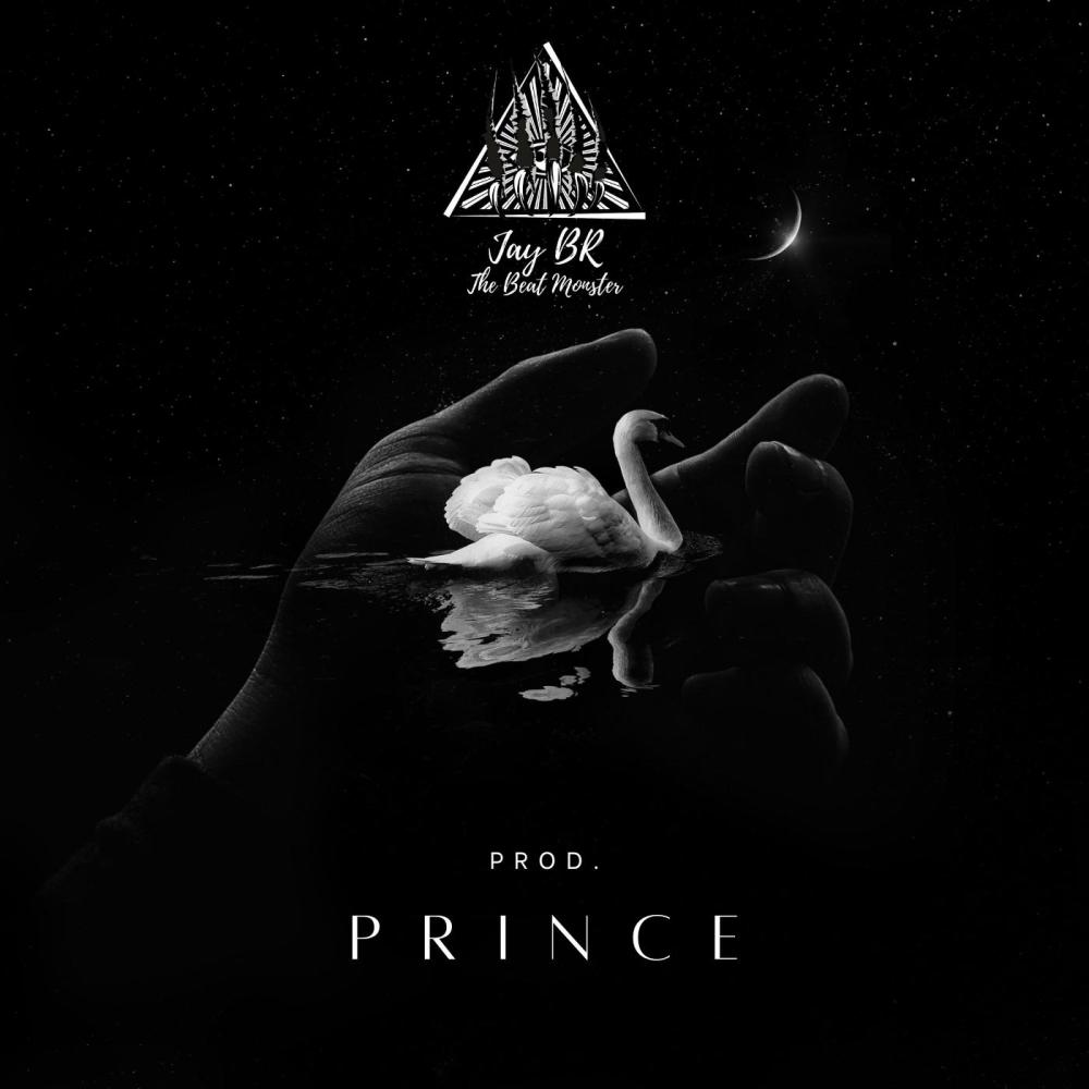 Prince (Boom Bap Beat)