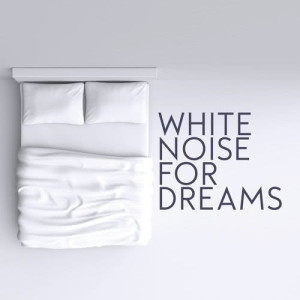 收聽Sleep Sounds White Noise的White Noise: Brown Noise Rest歌詞歌曲
