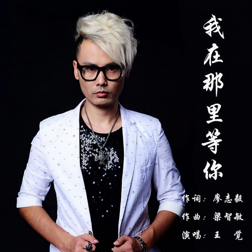 我在那里等你 (伴奏)