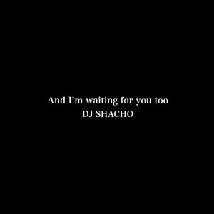 Listen to And I’m waiting for you too song with lyrics from DJ SHACHO