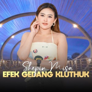 Dengarkan lagu Efek Gedang Kluthuk nyanyian Shepin MIsa dengan lirik