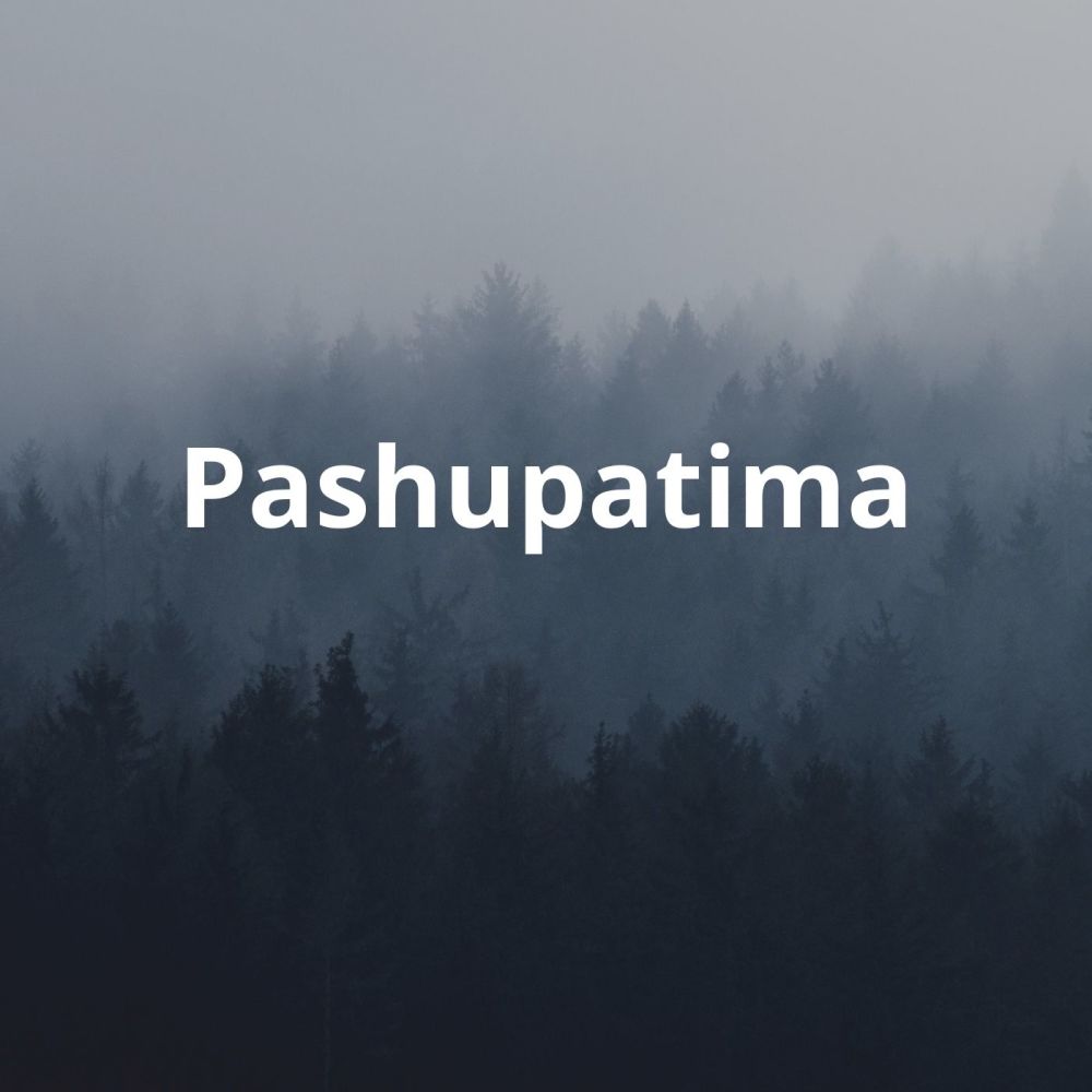 Pashupatima