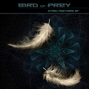 Bird of Prey的專輯Stray Feathers