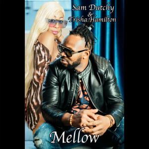อัลบัม Mellow (feat. Trisha Hamilton) ศิลปิน Sam Dutchy