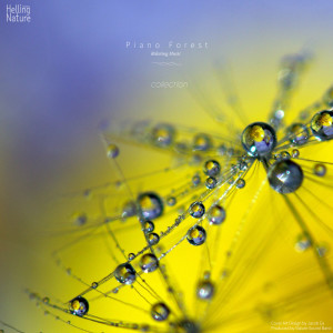 Listen to Lullaby for My Baby (With Rain Sound) song with lyrics from 힐링 네이쳐 Nature Sound Band