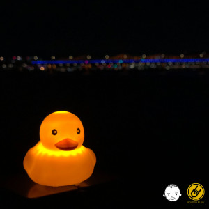 Album 1Duck S from 홍가