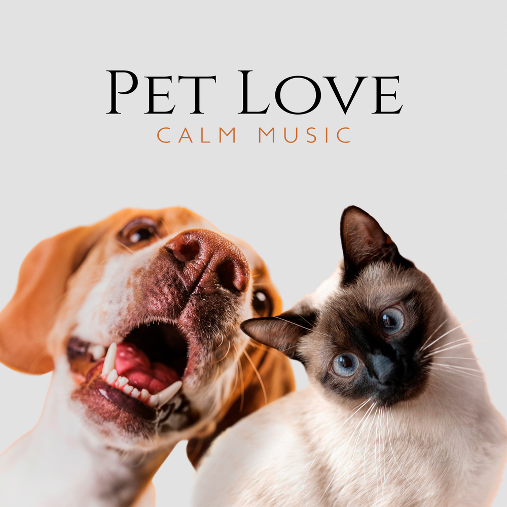 Pet Therapy