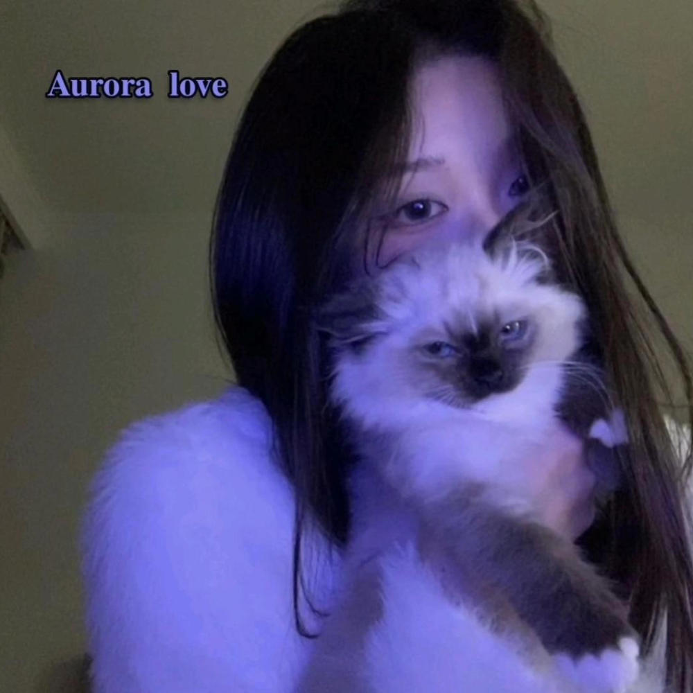 Aurora Love 极光