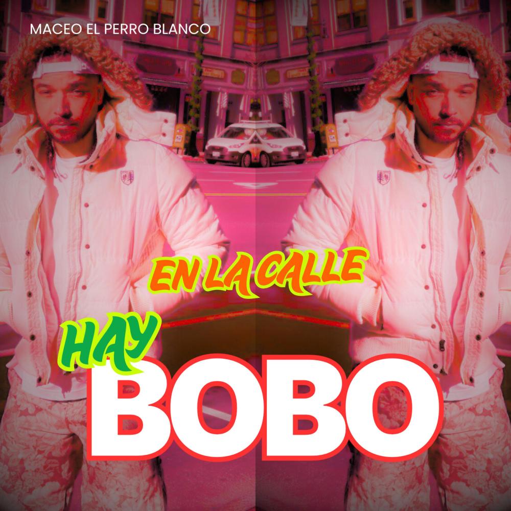 en la calle hay bobo