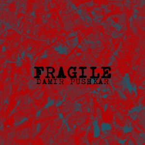 收听Damir Pushkar & B.Original的FRAGILE歌词歌曲