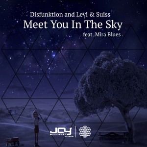 Levi & Suiss的專輯Meet You in the Sky
