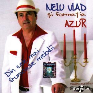 收聽Nelu Vlad的Hai domnisoara sa dansam歌詞歌曲