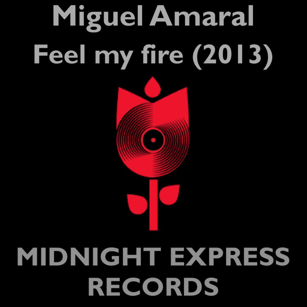Fell my fire (Phonic lounge remix)
