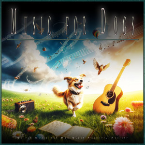Calming Music for Dogs的專輯Music for Dogs: Guitar Music for Dog Sleep Therapy, Anxiety