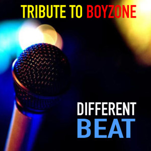 Mystique的专辑Different Beat Tribute To Boyzone