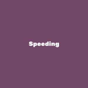 收聽Grizzy的Speeding歌詞歌曲