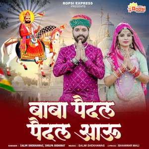 Salim Shekhawas的專輯Baba Paidal Paidal Aau