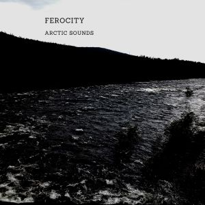 收聽Ferocity的Arctic Sounds (Original Mix)歌詞歌曲