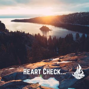 Jon Corbin的專輯Heart Check... For The Restless Soul (feat. Earlybird)