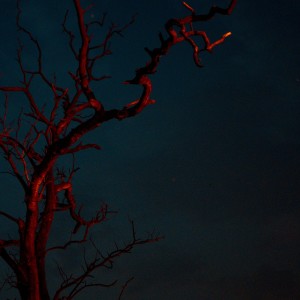 收听Øfdream的Eye of God (Explicit)歌词歌曲