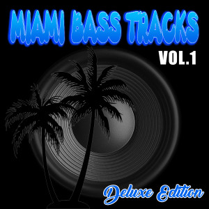 收聽Miami Bass Tracks的Bass Megamix歌詞歌曲