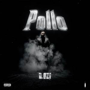 อัลบัม Pollo ศิลปิน D.OZi