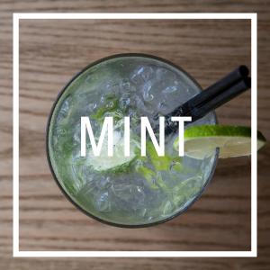 ดาวน์โหลดและฟังเพลง Mint พร้อมเนื้อเพลงจาก Ciarloni