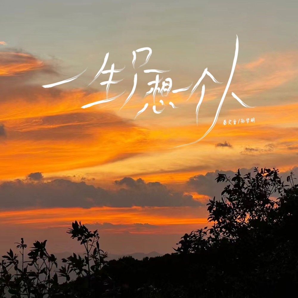 一生只想一个人（合唱版） (伴奏)