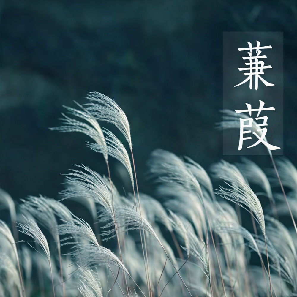 一去十九年 (完整版)