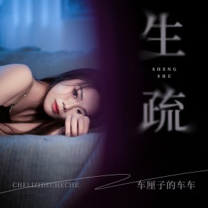 Album 生疏 from 车厘子的车车