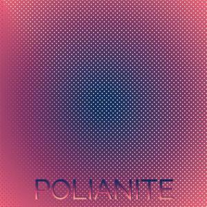 ดาวน์โหลดและฟังเพลง Virgin Journey พร้อมเนื้อเพลงจาก Miia Jaser