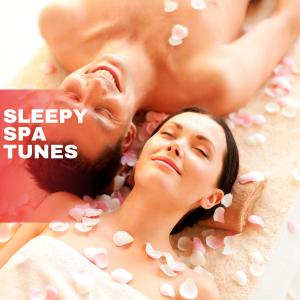 Various Artists的專輯Sleepy Spa Tunes