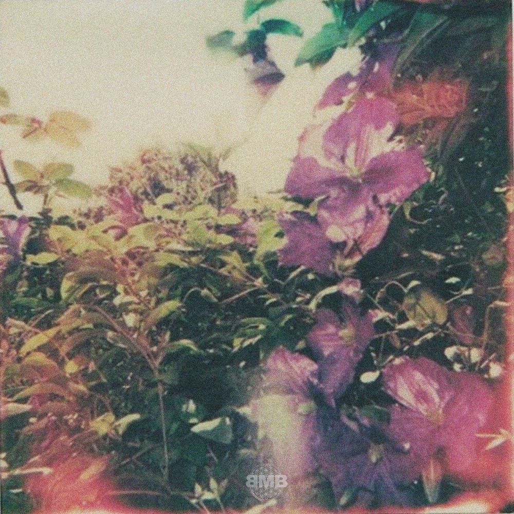 sunrise(interlude)