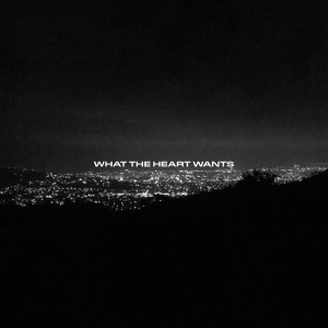 Album What the Heart Wants from Don Santo
